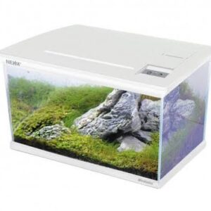 Acquario di Design Completo